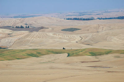 High angle view of harvested wheat fields