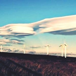 Wind turbines on field