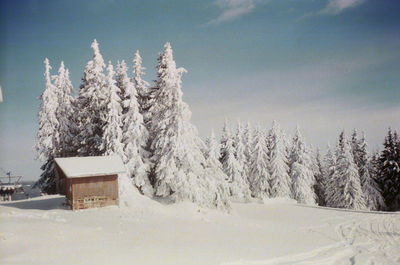 Snow covered trees on landscape against sky