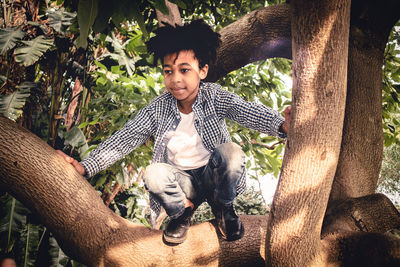 Portrait of happy young man sitting on tree trunk