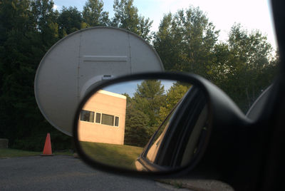 Reflection of trees in side-view mirror