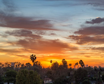 Scenic view of sunset