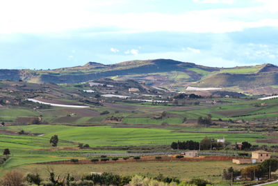 Scenic view of agricultural field against sky