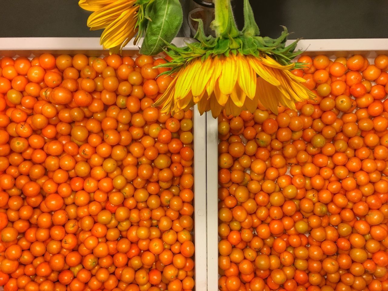 FULL FRAME SHOT OF ORANGE FRUITS AT MARKET