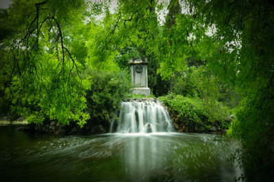 Scenic view of waterfall in forest