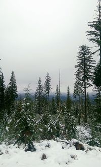 Scenic view of snow covered landscape