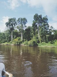 Scenic view of river by trees in forest against sky