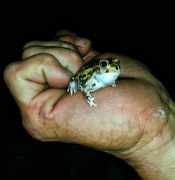 Close-up of cropped hand