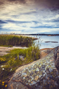 Scenic view of sea against sky