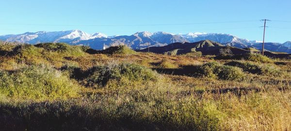 mountain