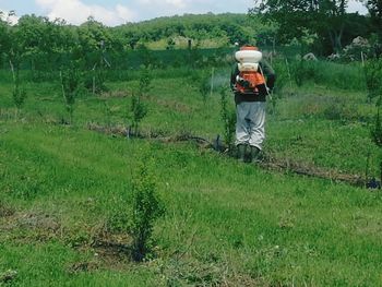 Rear view of man working on field