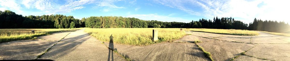 Panoramic view of trees on field against sky