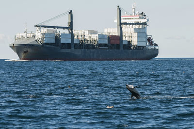 Ship in sea