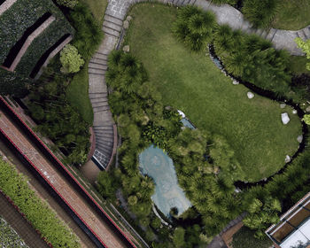 Drone view of trees and plants in park