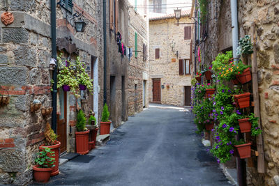 Street amidst buildings