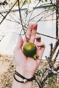 Midsection of man holding fruit