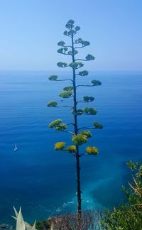 Scenic view of sea against blue sky