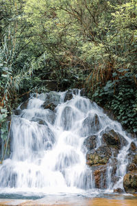 Scenic view of waterfall in forest