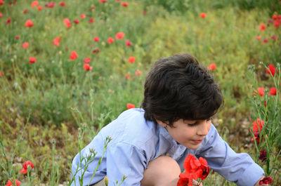 Boy crouching amidst poppy flowers on field
