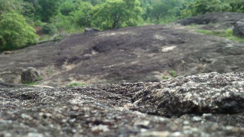 Surface level of rocks on land