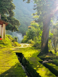 Scenic view of landscape