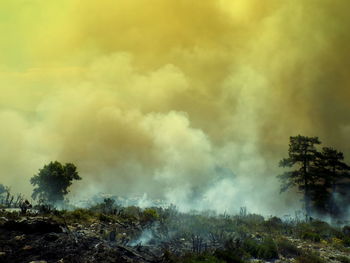 Smoke erupting from forest fire