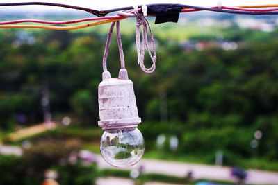 Close-up of light bulb hanging against trees