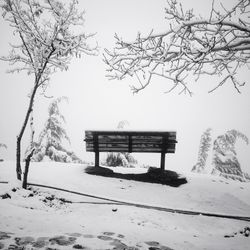 Snow covered trees in winter