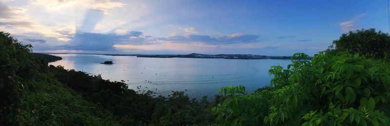 Panoramic view of trees and sea against sky