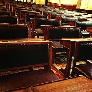 Close-up of tree stump
