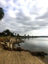 Birds flying over rocks against sky