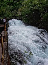 Scenic view of river flowing in forest