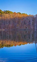 Scenic view of lake against clear blue sky