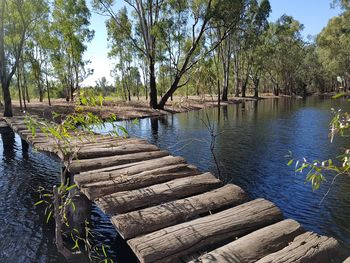 Scenic view of lake by trees