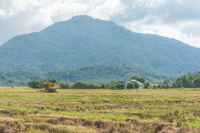 Scenic view of agricultural field against sky