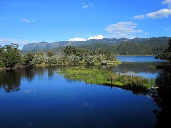 Scenic view of lake by trees against blue sky