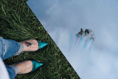 Low section of woman standing by paintings on grassy field