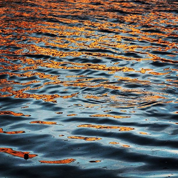 water, waterfront, rippled, full frame, backgrounds, high angle view, reflection, lake, nature, tranquility, outdoors, beauty in nature, no people, floating on water, day, water surface, close-up, sunlight, wet, tranquil scene