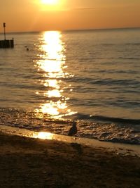 Scenic view of sea at sunset