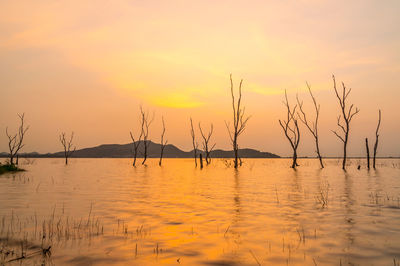 Scenic view of lake against sky during sunset