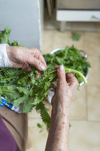 Midsection of person holding leaf