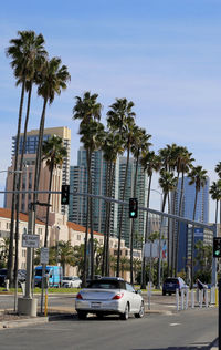 Cars on road by palm trees and buildings against sky