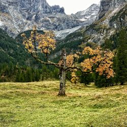 Scenic view of landscape and mountains