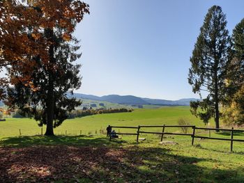 Trees on field against clear sky