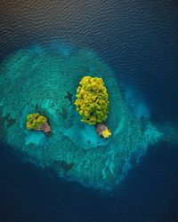 High angle view of blue sea and rocks