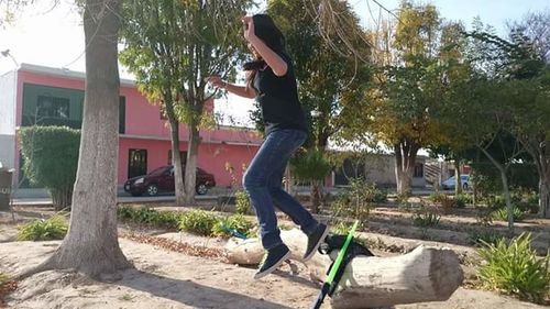 Full length of man skateboarding on tree