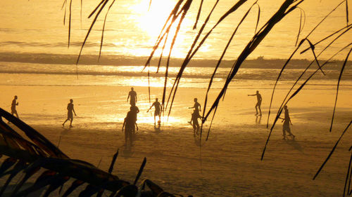 Scenic view of sea at sunset