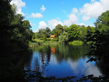 Scenic view of lake by trees against sky