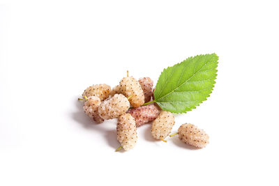 Close-up of cookies against white background