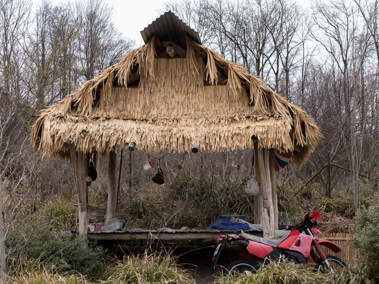 OLD HOUSE ON FIELD